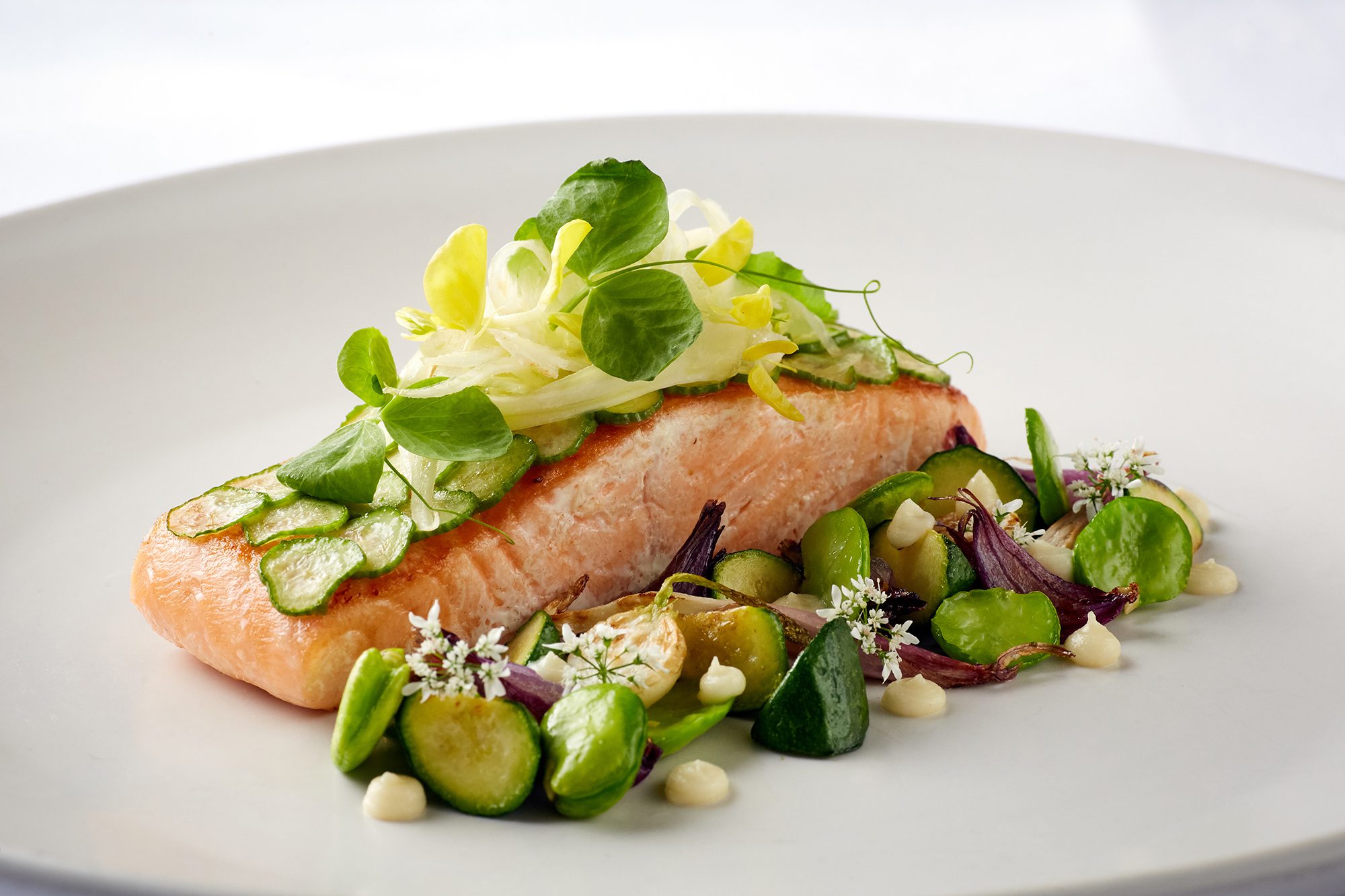Fresh Salmon